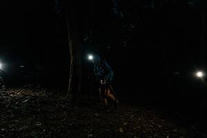 BIB: 
                            <button type="button" onclick="openModal(25262097)" class="btn btn-primary btn-sm float-right btn-popup" data-toggle="modal" data-target=".modal-high-quality">
                        <i class="fas fa-shopping-cart"></i> Add to Cart
                    </button>
                                            <button type="button" onclick="isThisMe(25262097, true)" class="btn btn-success btn-sm float-right btn-popup btn-isme hidden" data-toggle="tooltip" data-placement="bottom" title="นี่คือรูปของคุณใช่ไหม คลิกที่นี่เพื่อเอาเข้าอัลบั้ม">
                        <i class="fas fa-plus"></i> Add to album
                    </button>
                    <button type="button" onclick="isThisMe(25262097, false)" class="btn btn-warning btn-sm float-right btn-popup btn-isnotme hidden">
                        <i class="fas fa-ban"></i> Remove from album
                    </button>